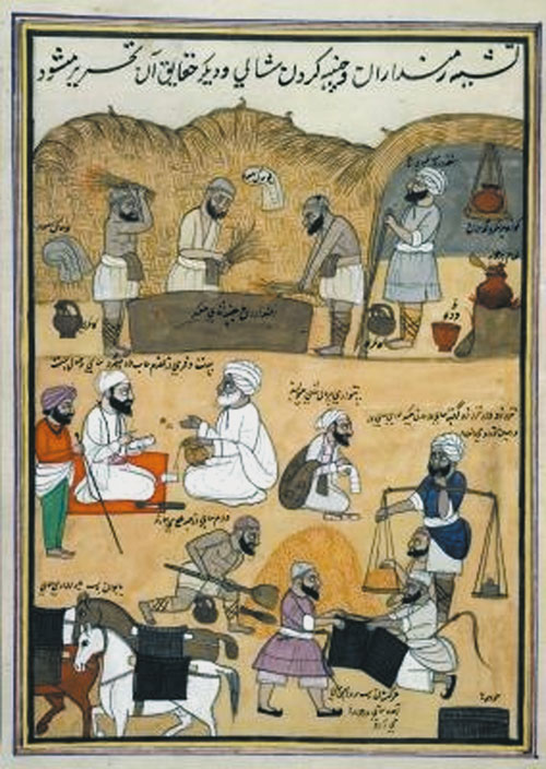 Basmati: culinária e